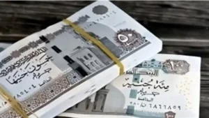 زيادة معاشات يناير 2026 تعزز الحماية الاجتماعية وتحسن دخل ملايين المستحقين